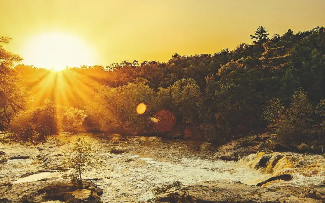 What Is Somatic Therapy? A Grounded, Plain-English Guide