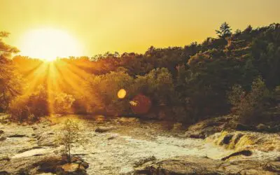 What Is Somatic Therapy? A Grounded, Plain-English Guide